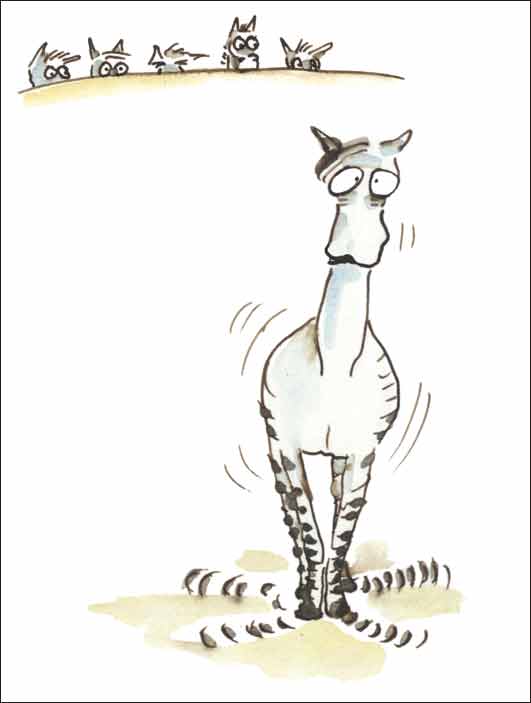 zebraFW